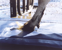 Pediluve premium - Ukal - 180x90cm