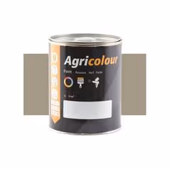 Peinture Argent Métallique métallique, pot de 1litre(s)