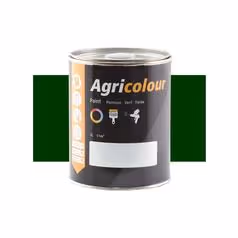 Peinture Coniston Vert brillant, pot de 1litre(s)