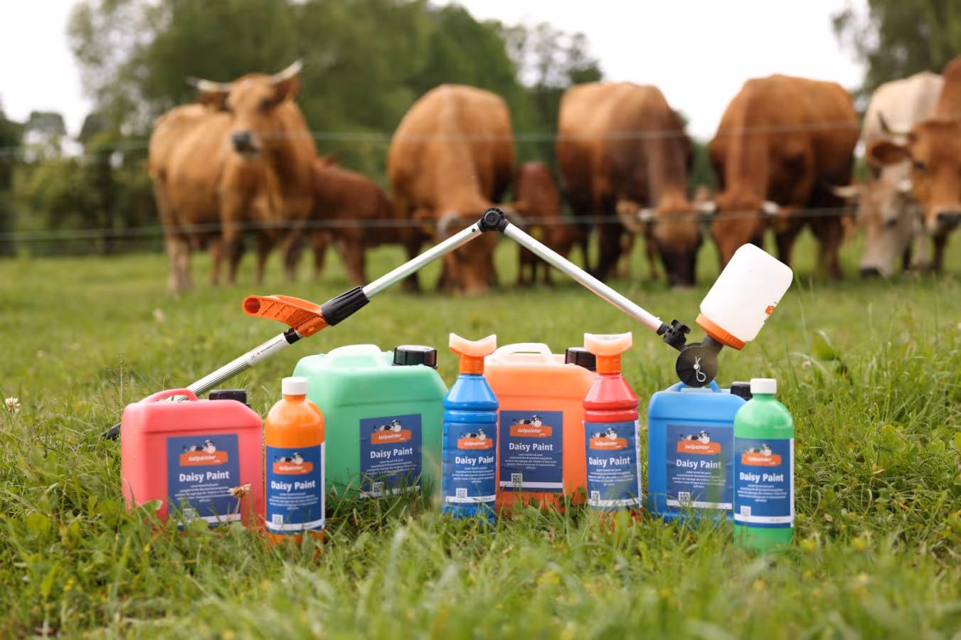 Peinture de marquage de gestation avec brosse Daisy Paint
