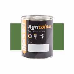 Peinture Mai Vert brillant, pot de 1litre(s)