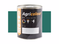 Peinture Patina Vert brillant, pot de 1litre(s)