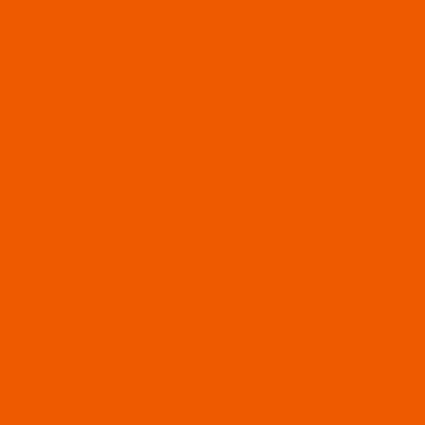 Peinture Perfect orange 1L