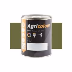 Peinture Vert fougère brillant, pot de 1litre(s)