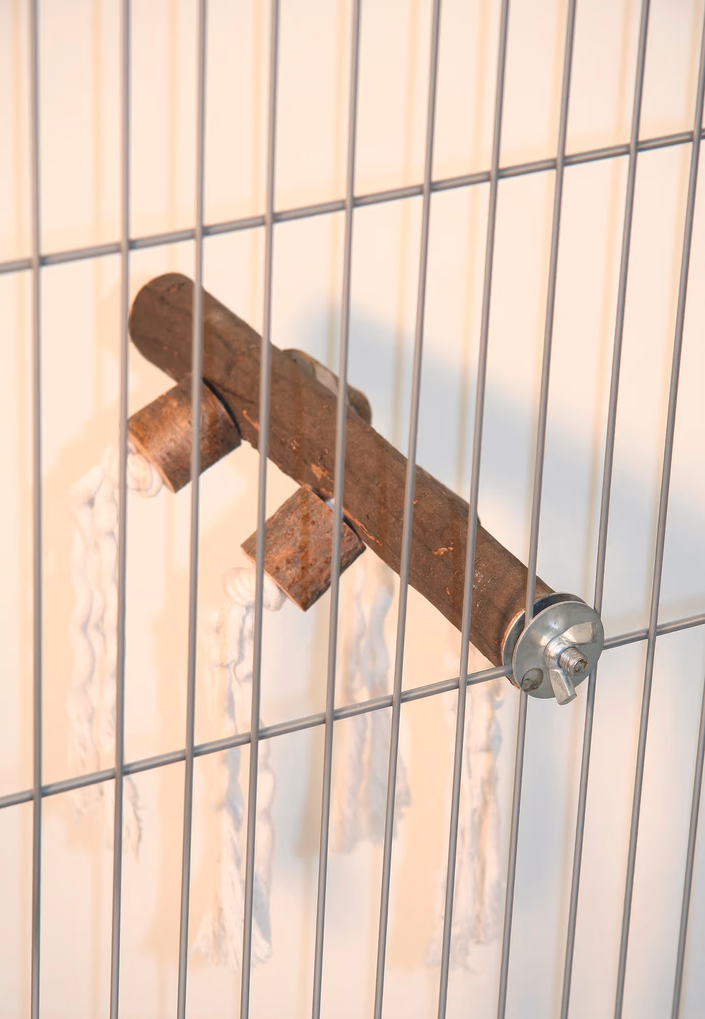 Perchoir avec corde pour oiseauX 20cm