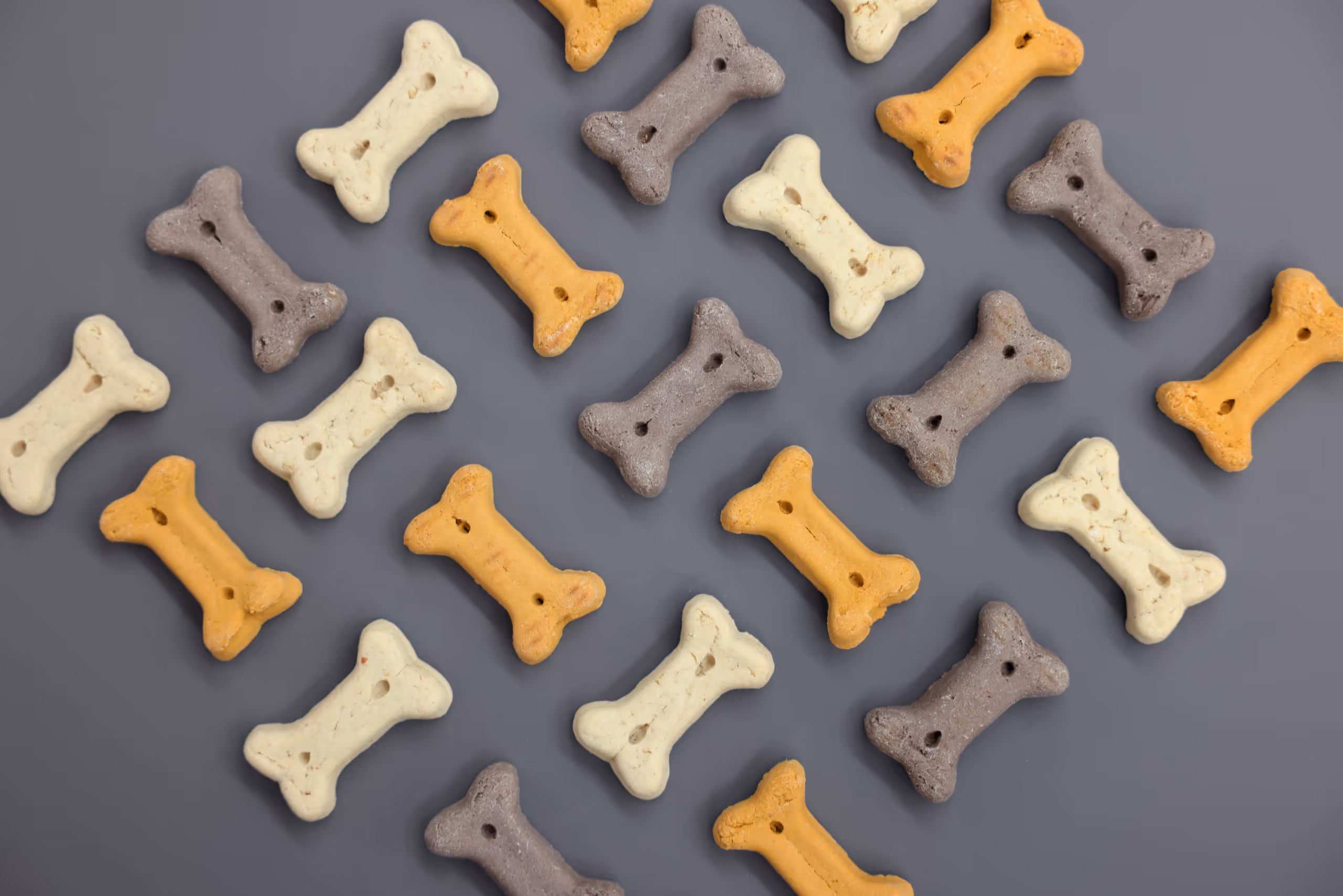 Pet Rewards Biscuit Junior Mix 400g/sac