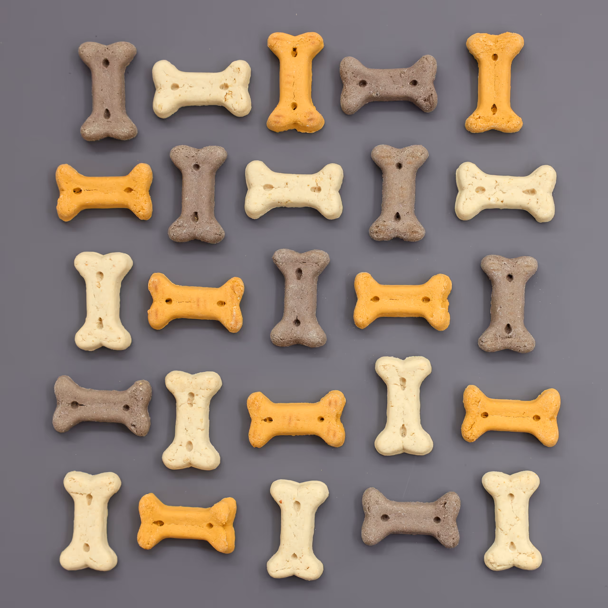 Pet Rewards Biscuit Junior Mix 400g/sac