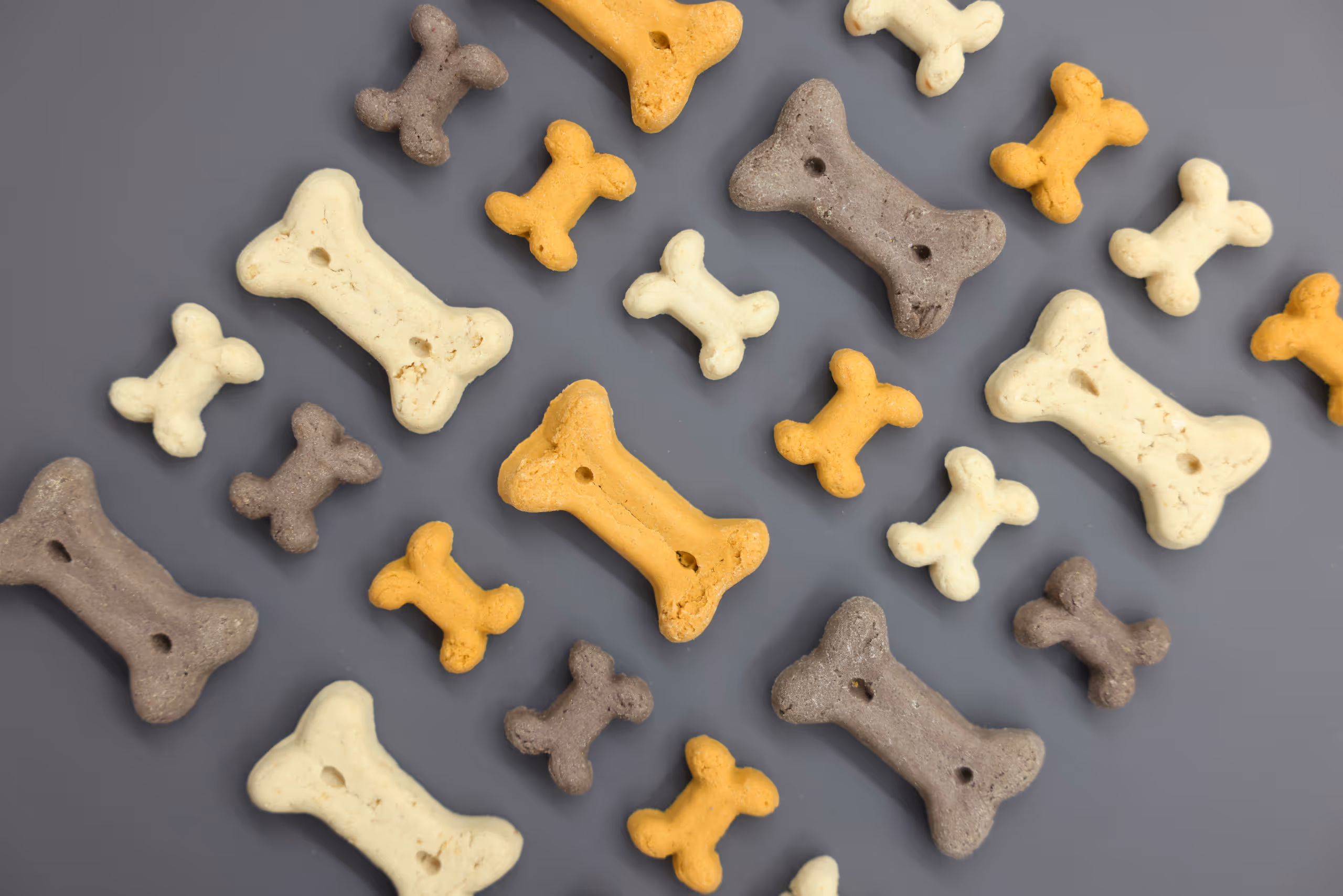 Pet Rewards Biscuit Junior Mix 400g/sac