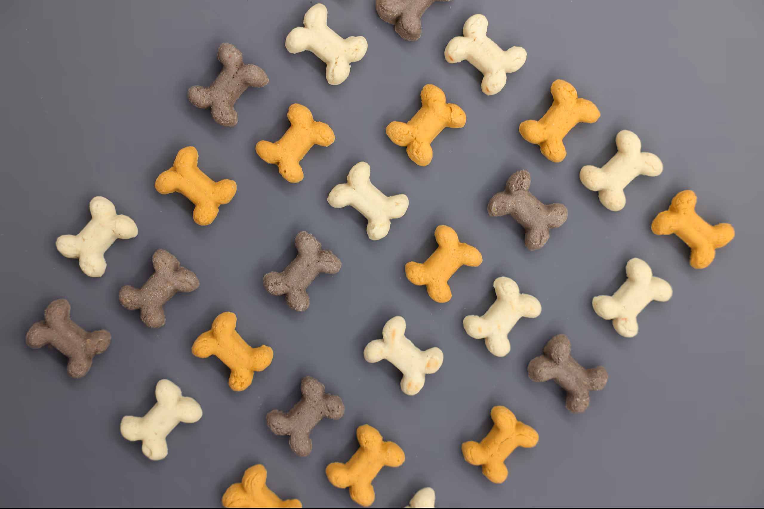 Pet Rewards Biscuit Puppy Mix 400g/sac