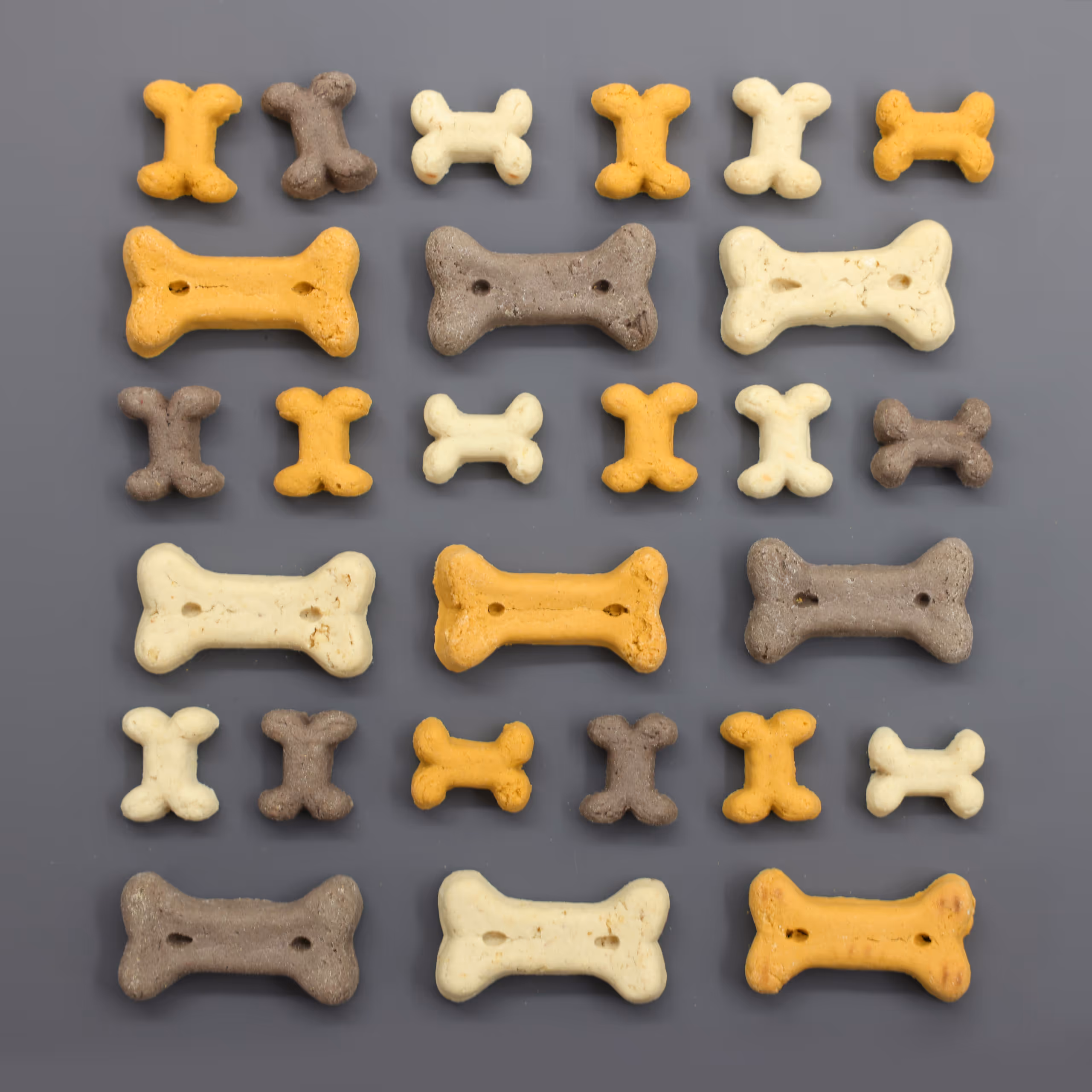 Pet Rewards Biscuit Puppy Mix 400g/sac