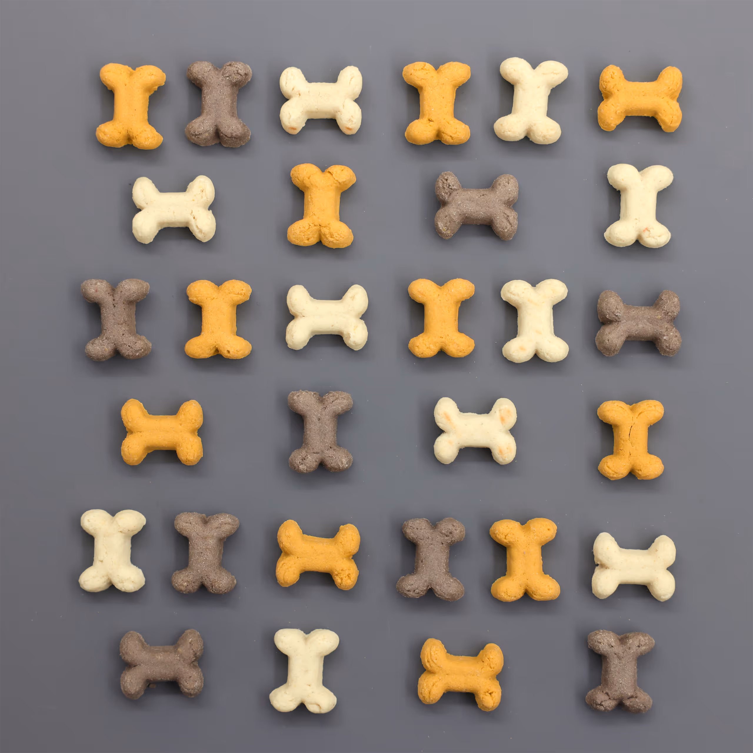 Pet Rewards Biscuit Puppy Mix 400g/sac