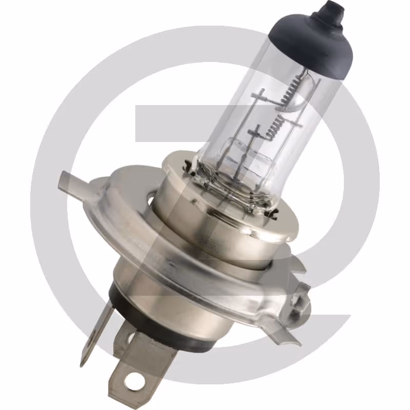 Philips Ampoule halogène H4