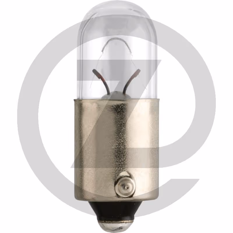 Philips Ampoule sphérique T4W