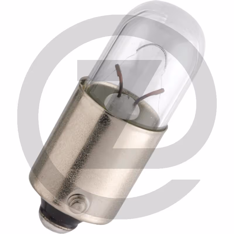 Philips Ampoule sphérique T4W