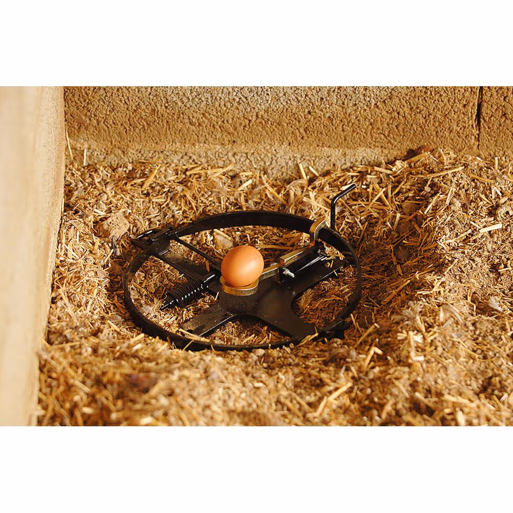 Piege a oeuf 25 cm