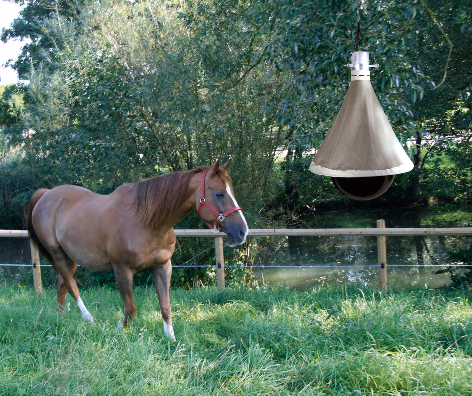Piège à taons Taon-X Eco 5000m²
