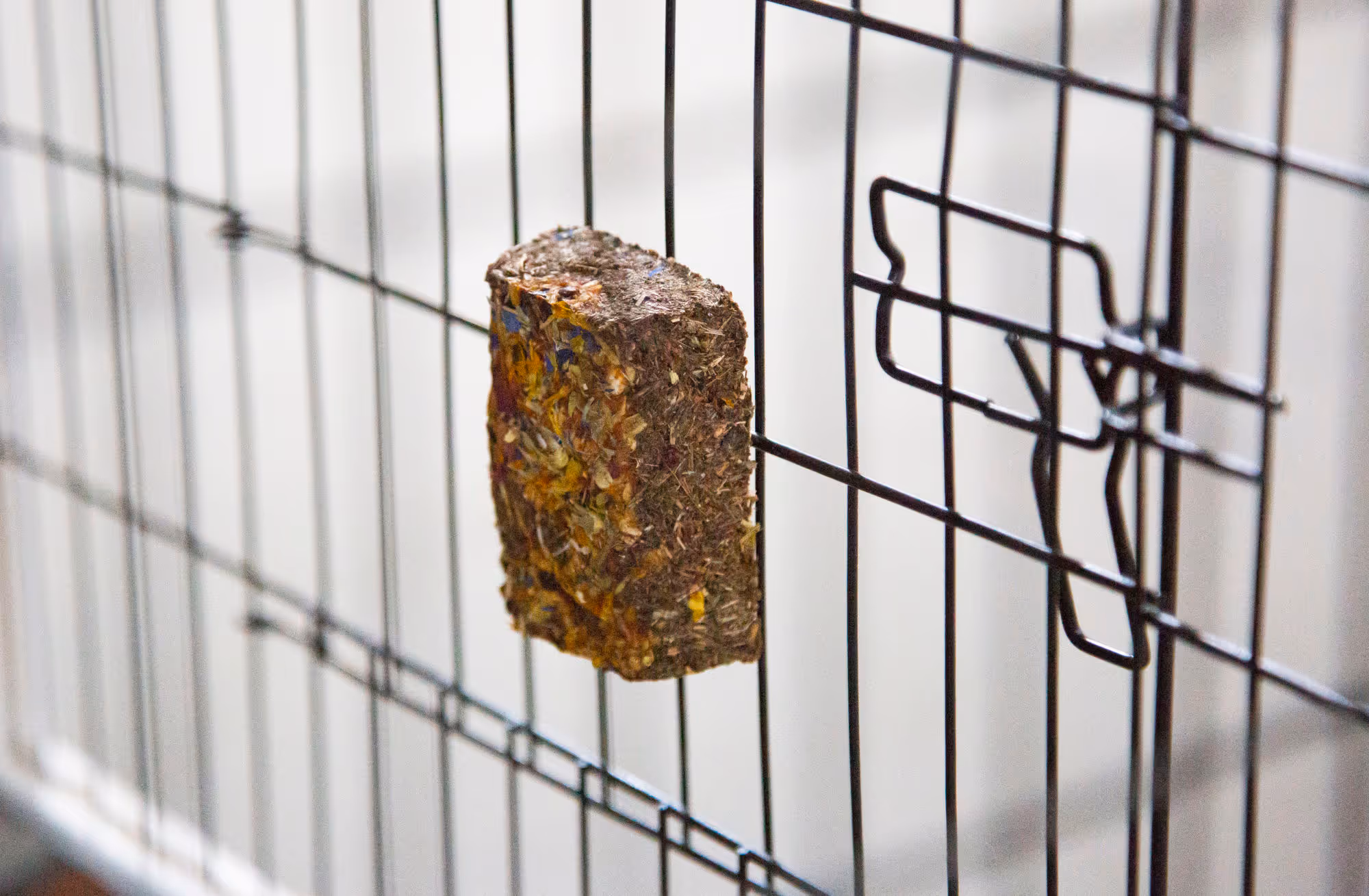 Pierre à ronger foin 7,5x5,5x2,5cm, 35g