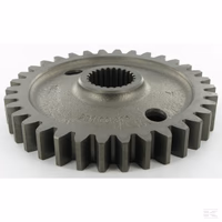 Pignon 34 dents Maschio