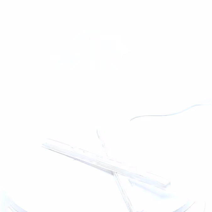 Pince blanche pour fanion L210 polyéthylène