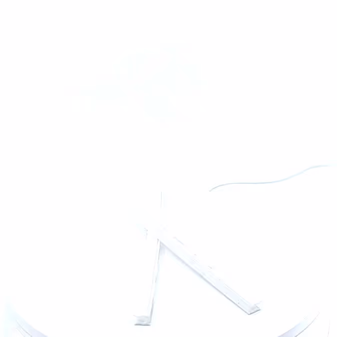 Pince blanche pour fanion L210 polyéthylène