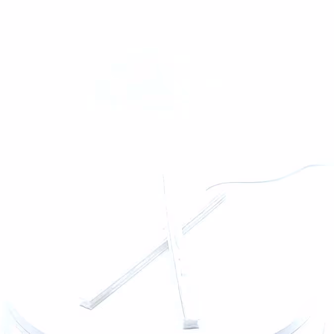 Pince blanche pour fanion L210 polyéthylène