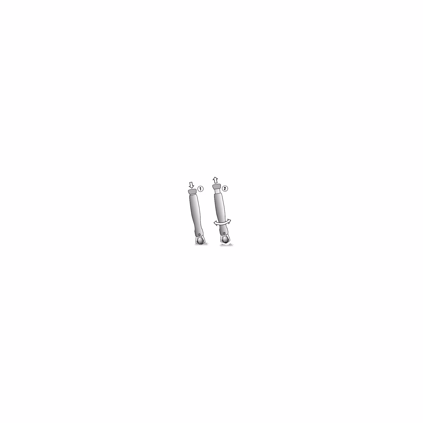 Pince pour tiques 10cm