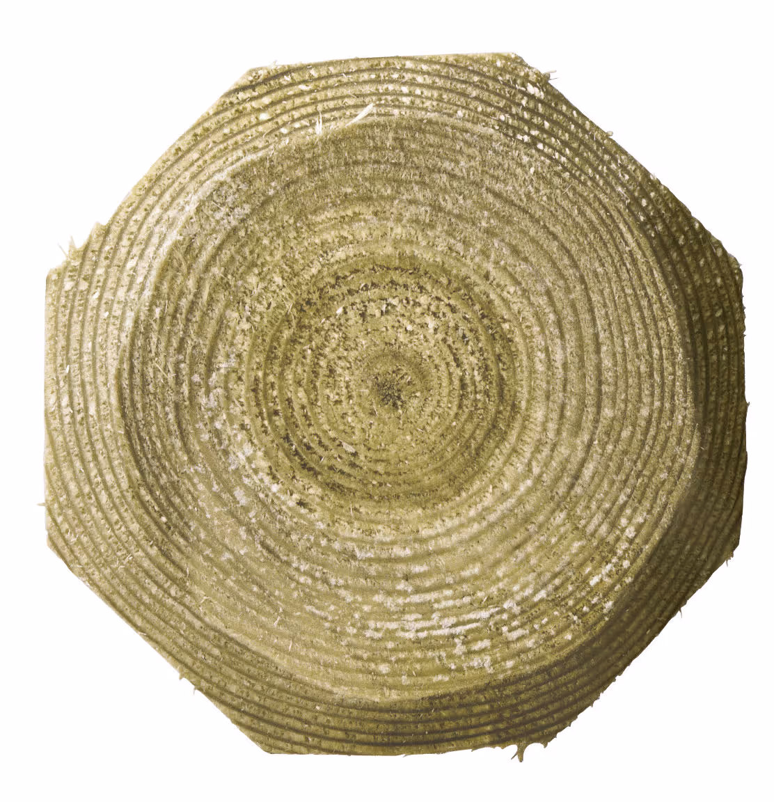 Piquet de ligne Octo Wood 200cm, Ø100mm