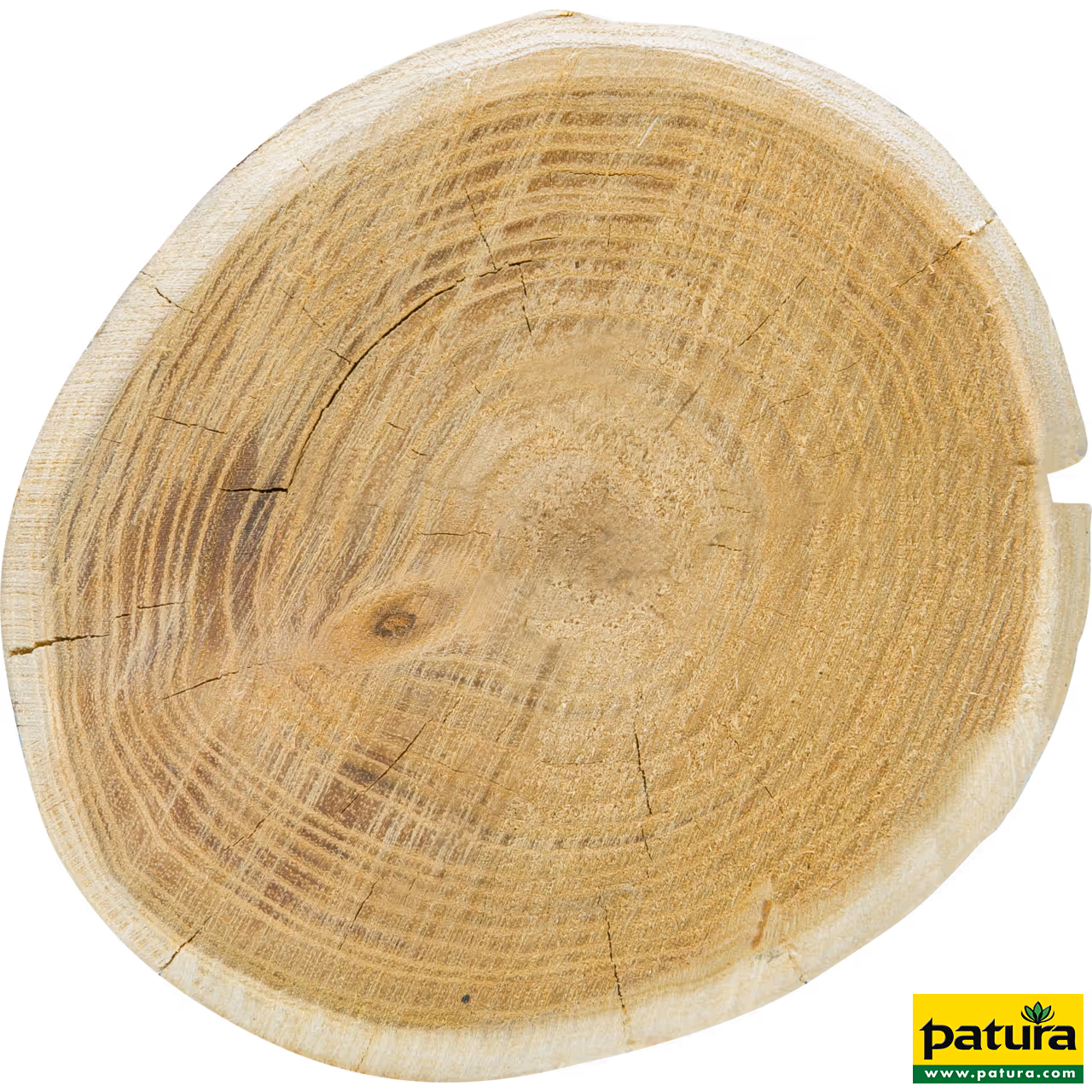 Piquet en robinier, rond, 2500 mm,écorcé d=14-16 cm, appointé, chanfreiné