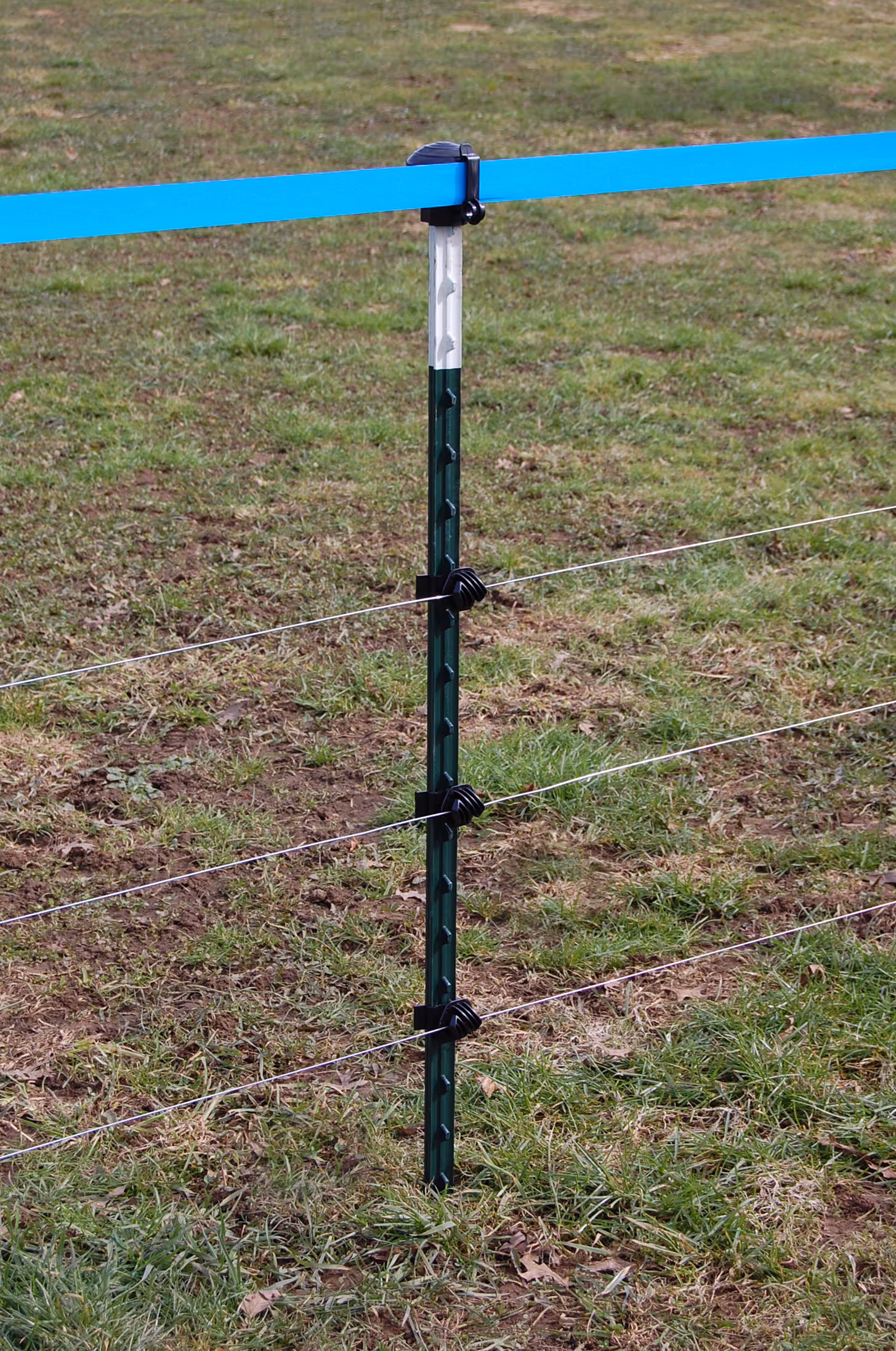 Piquet métallique T-Post vert/blanc, 213cm