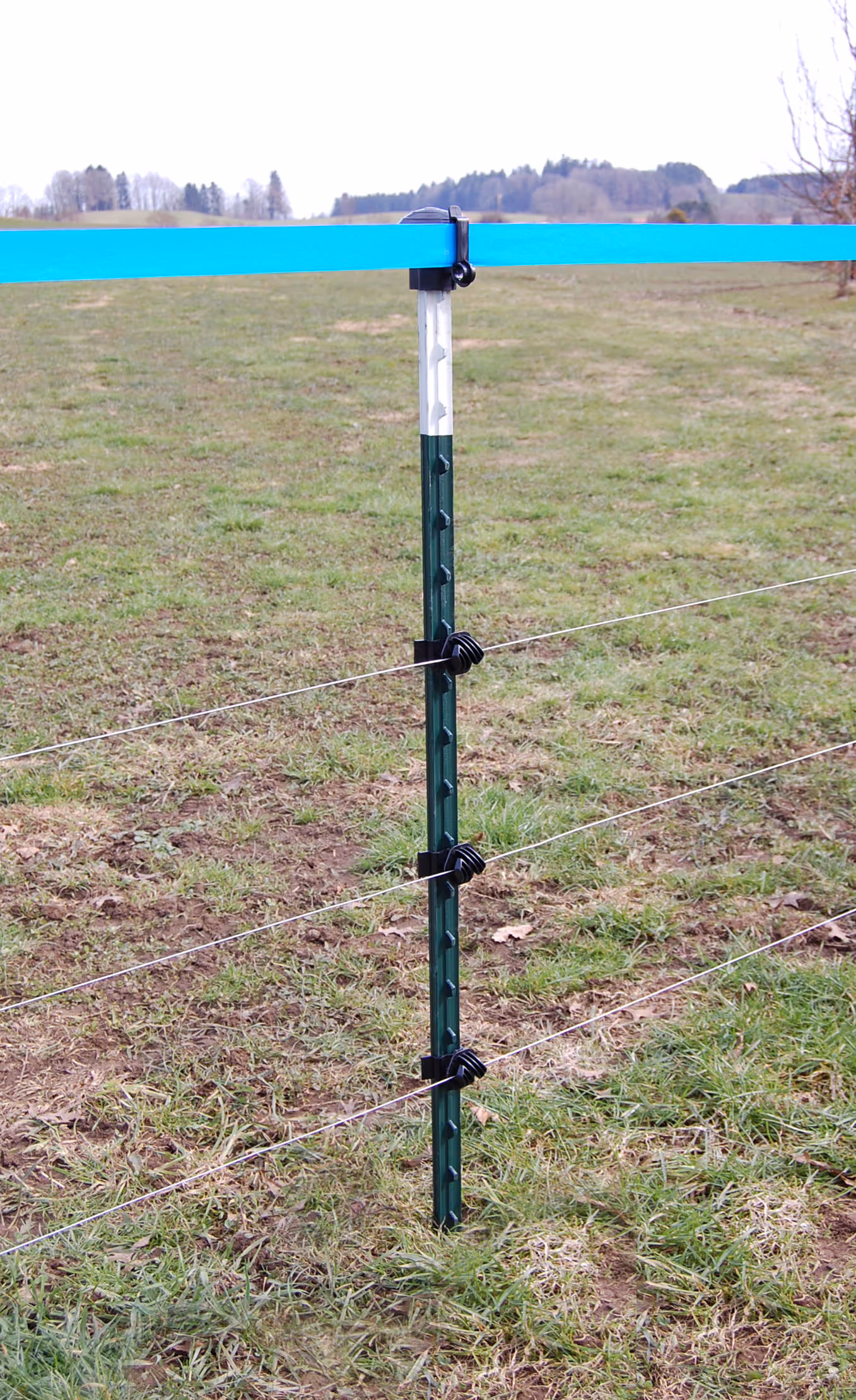 Piquet métallique T-Post vert/blanc, 213cm