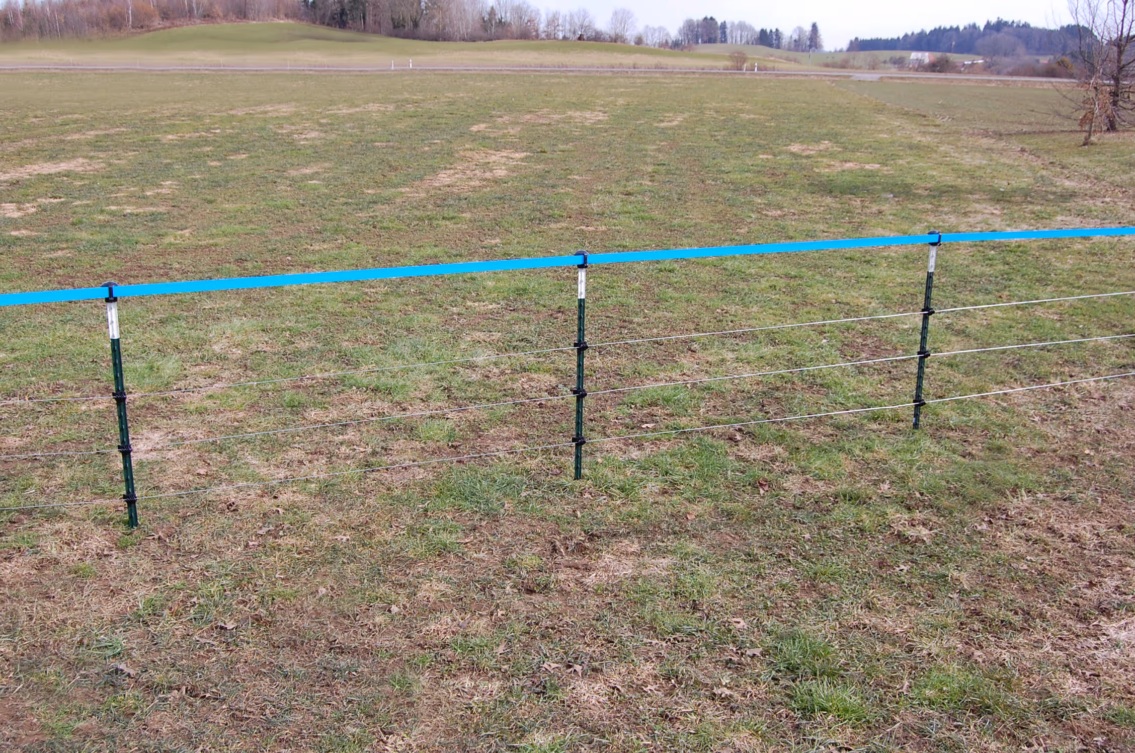 Piquet métallique T-Post vert/blanc, 213cm