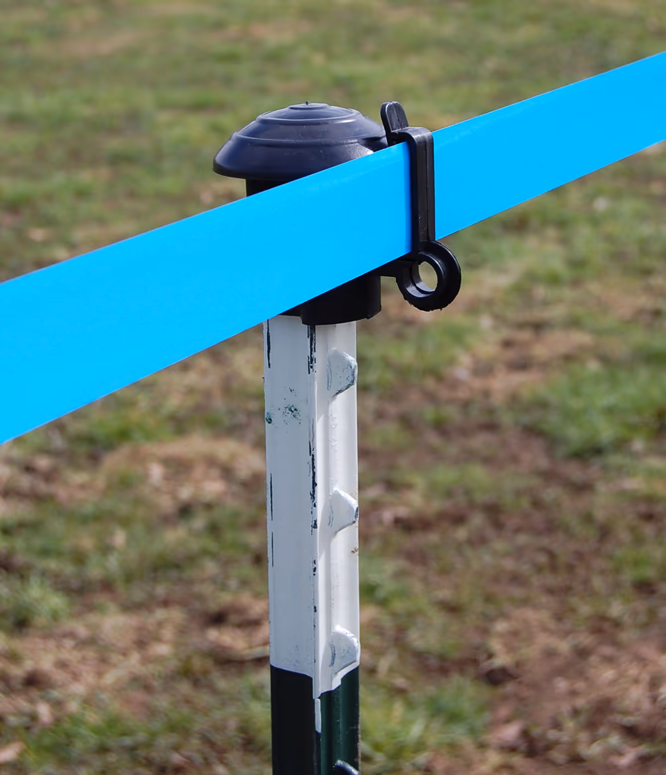 Piquet métallique T-Post vert/blanc, 213cm