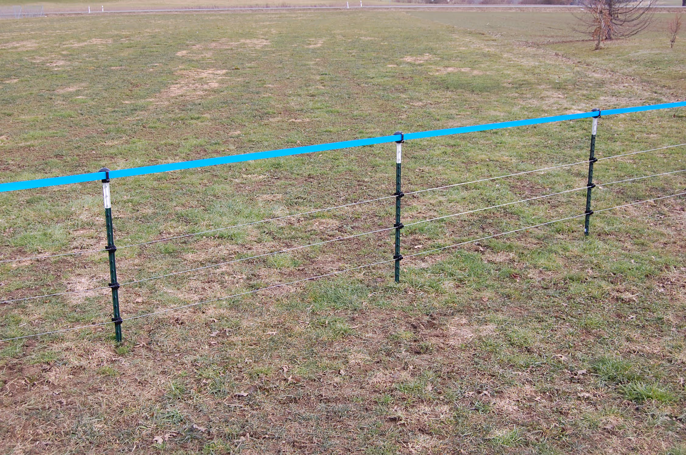 Piquet métallique T-Post vert/blanc, 213cm