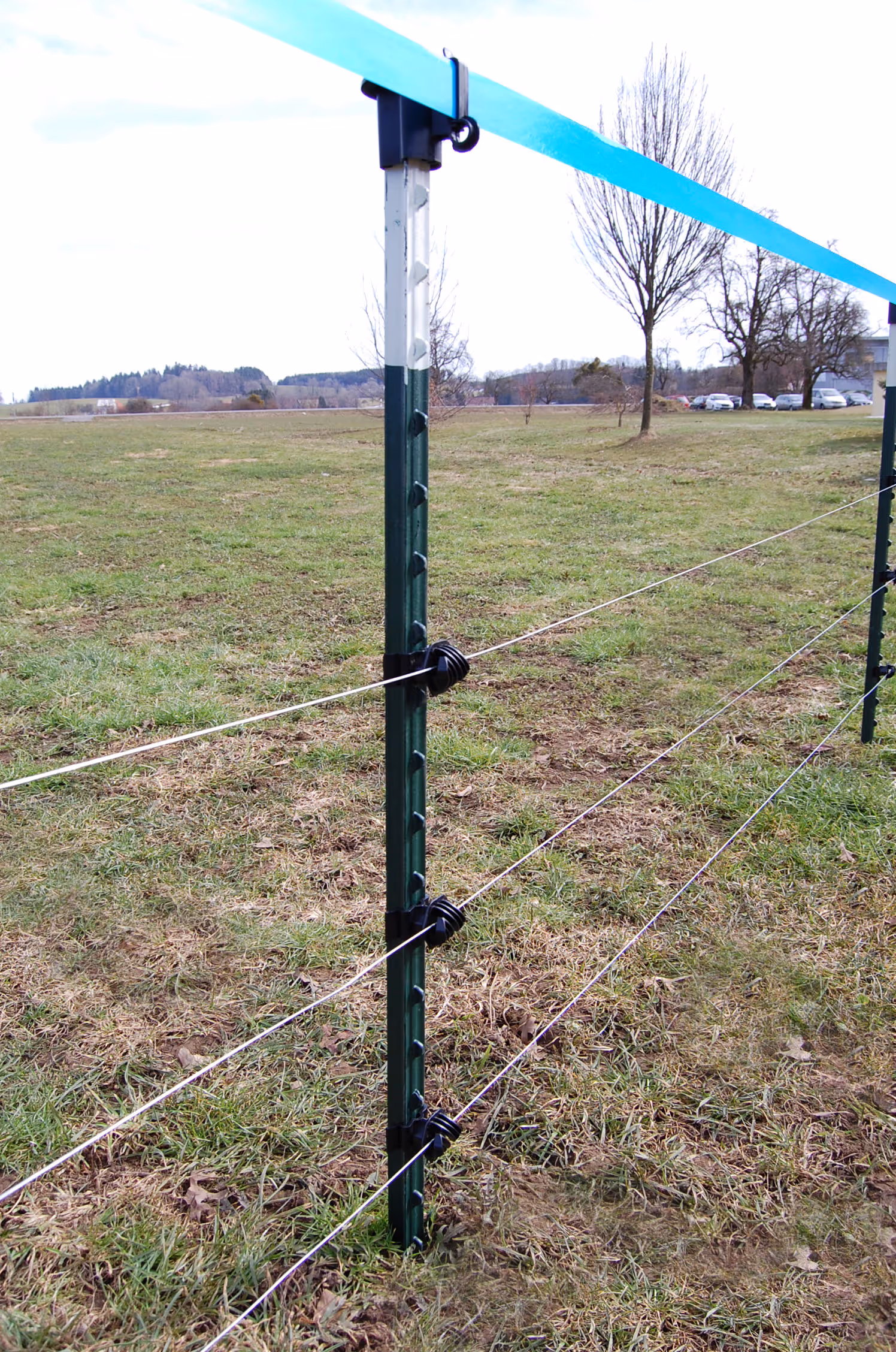 Piquet métallique T-Post vert/blanc, 213cm