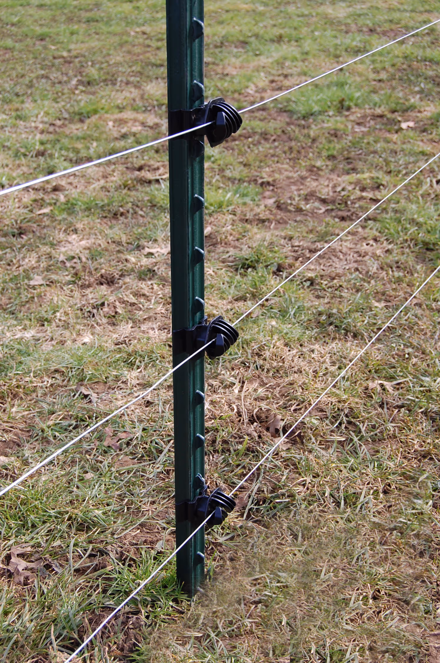 Piquet métallique T-Post vert/blanc, 213cm