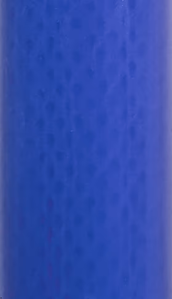 Piquet oval Premium BLUE Fibre verre, simple bêche