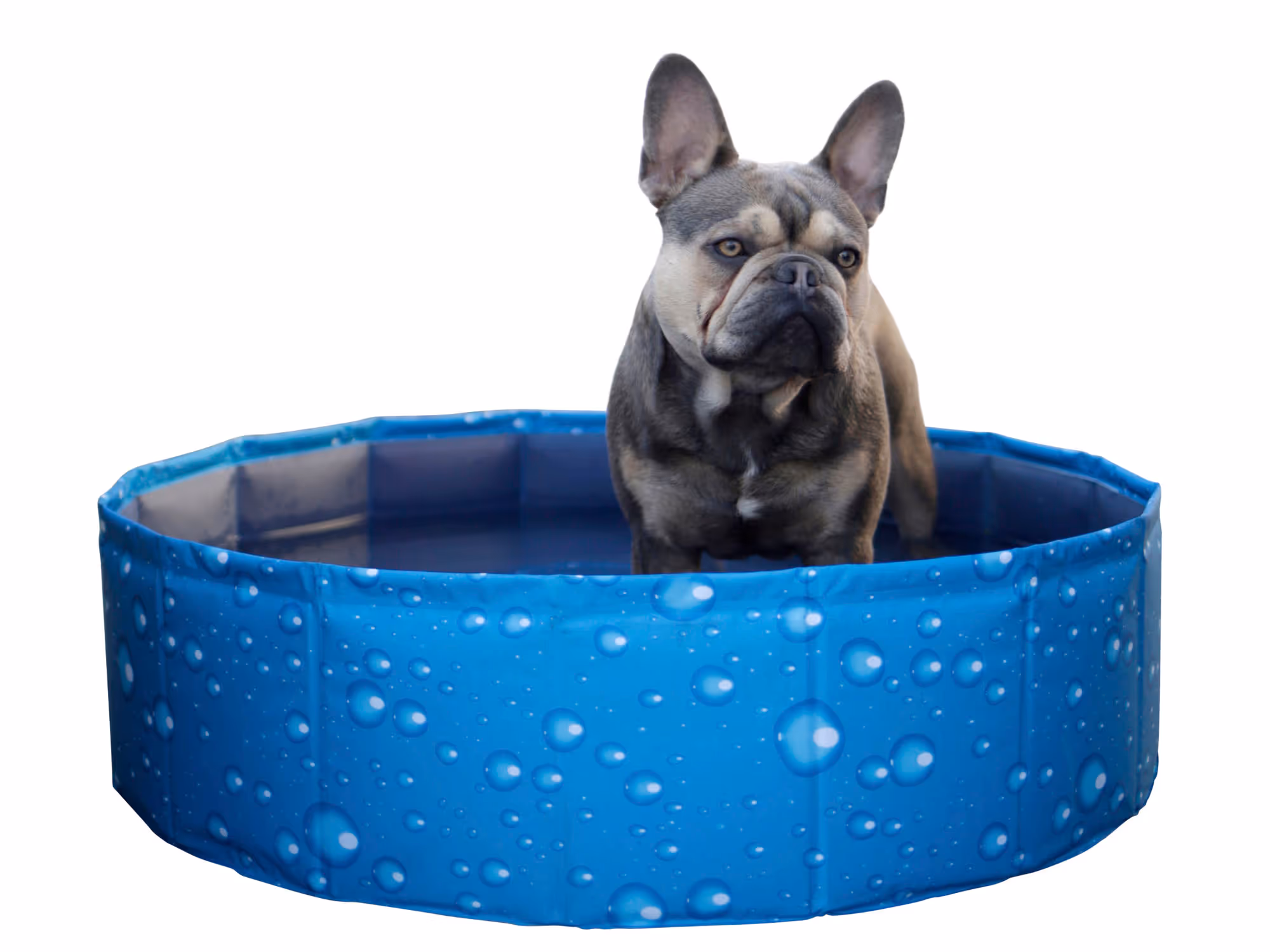 Piscine pour chien Bubble bleu, Ø80cm, 100L