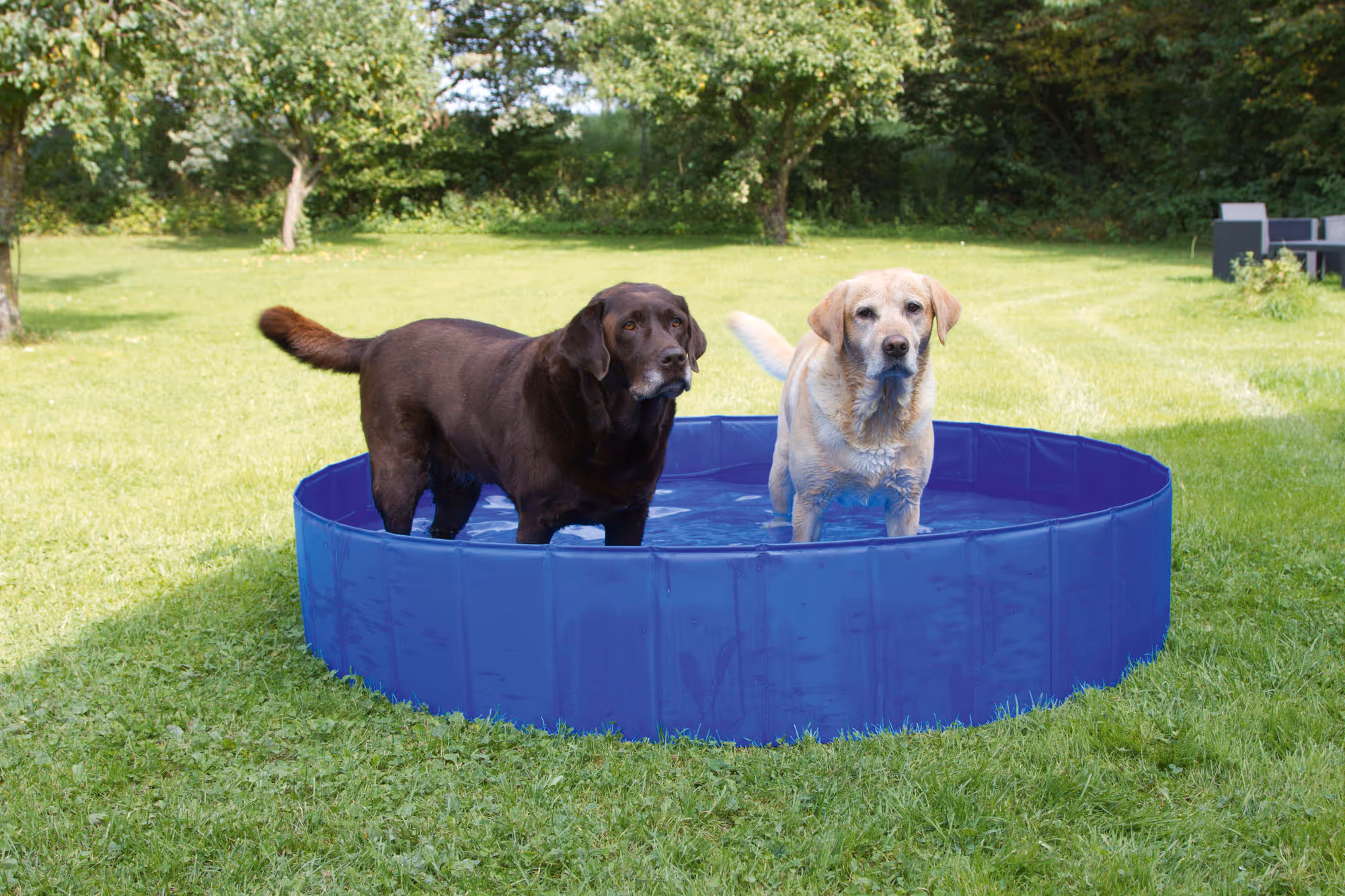 Piscine pour chien Ø120cm, 340L