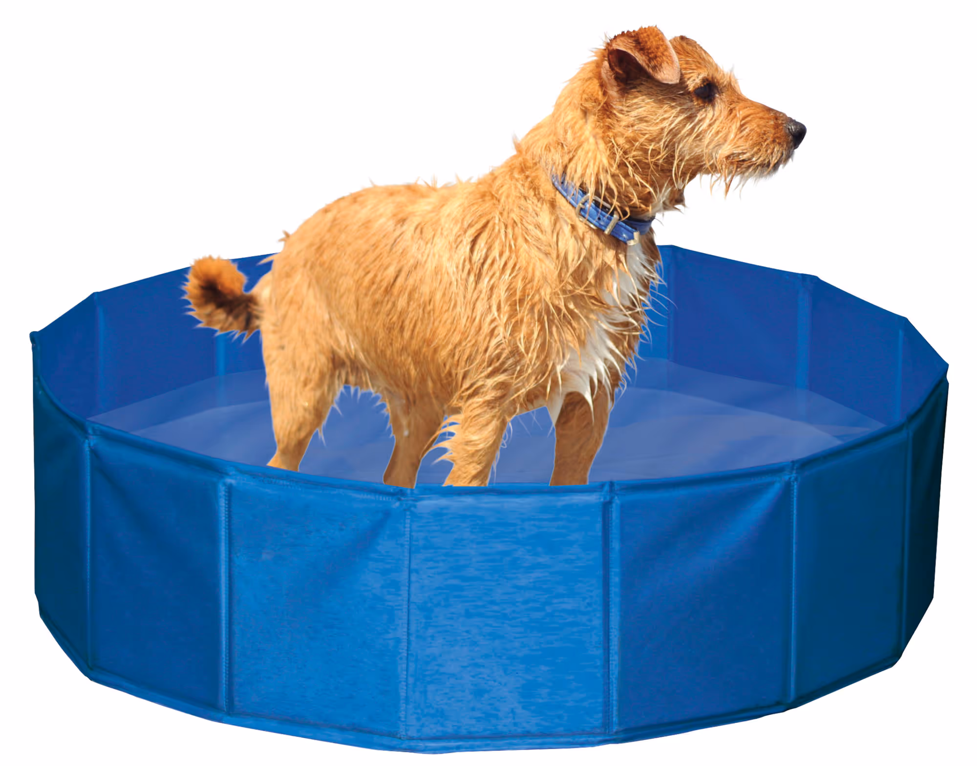Piscine pour chien Ø120cm, 340L