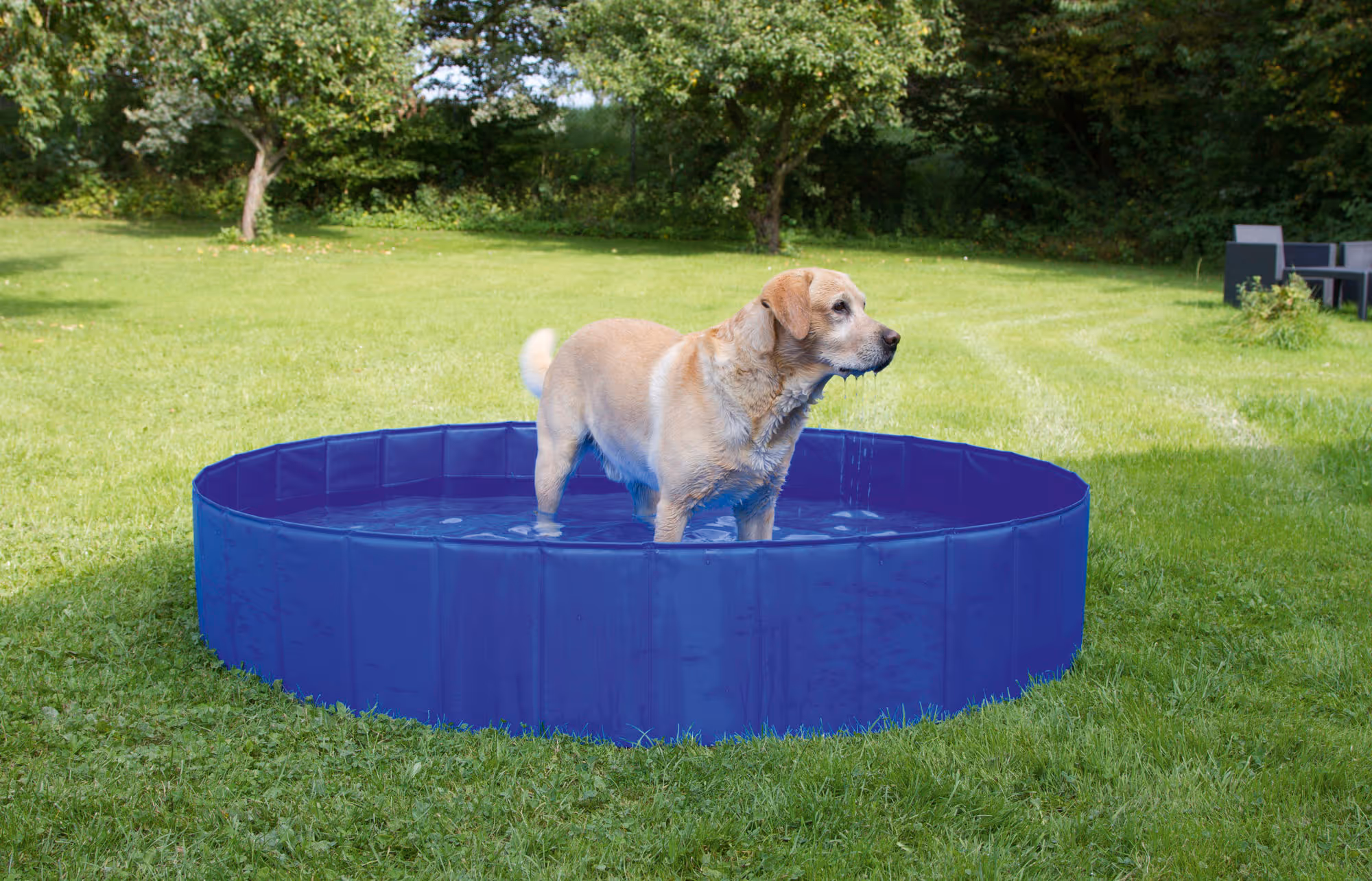 Piscine pour chien Ø80cm, 100L
