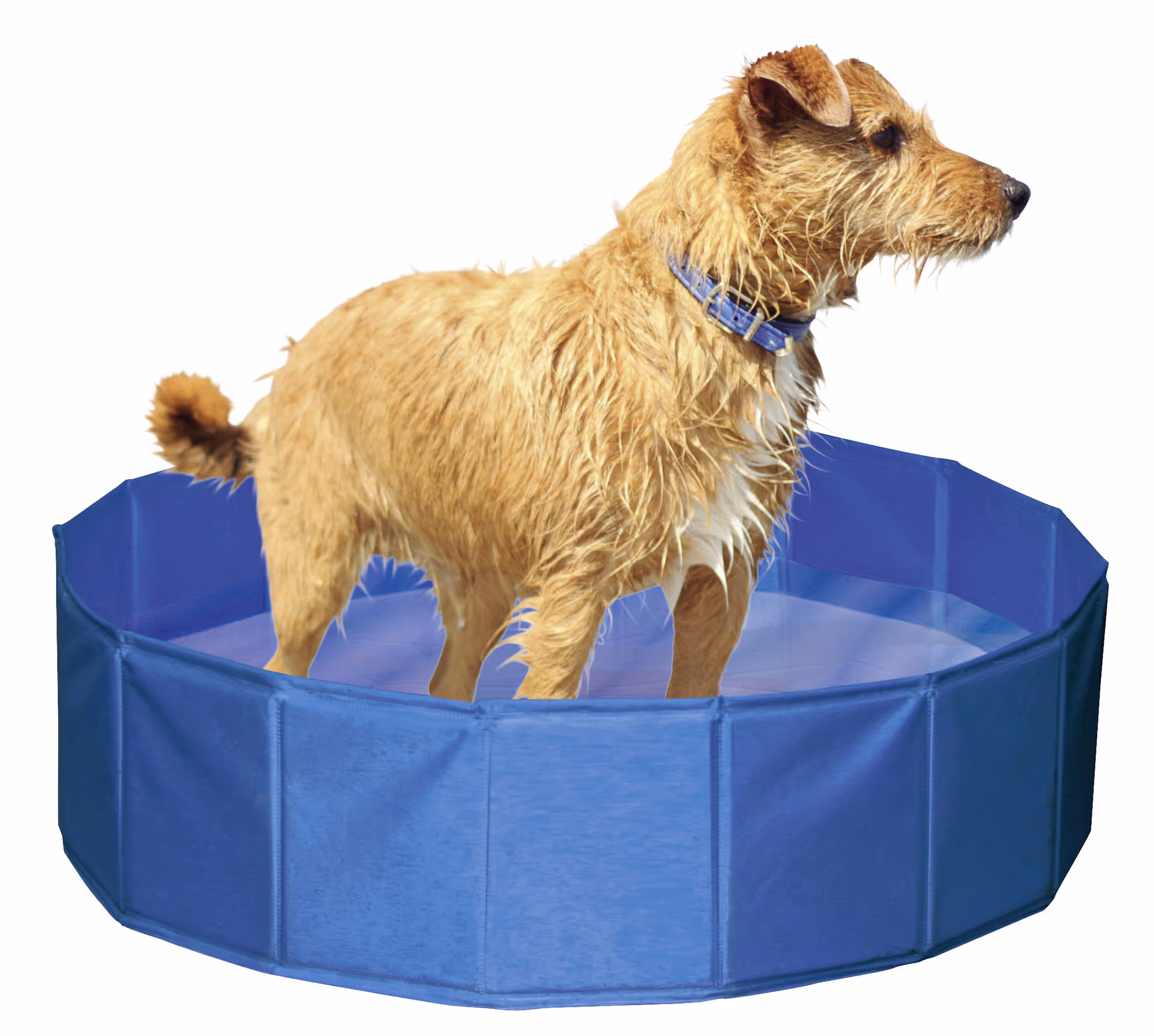 Piscine pour chien Ø80cm, 100L
