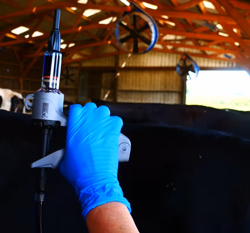 Pistolet applicateur gerapyx