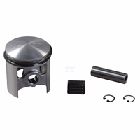 Piston ø59,94+cage pal.aigui.