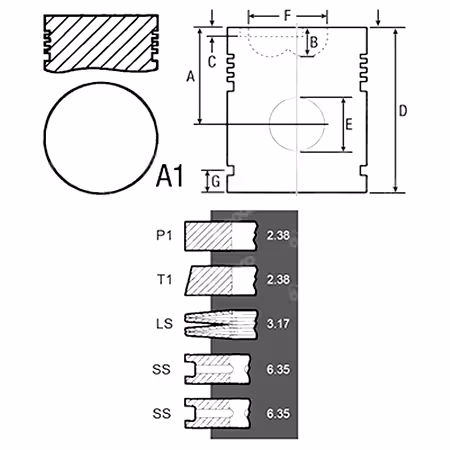 Piston Ø91.49 mm avec 5 segments Massey Ferguson 3640441M91