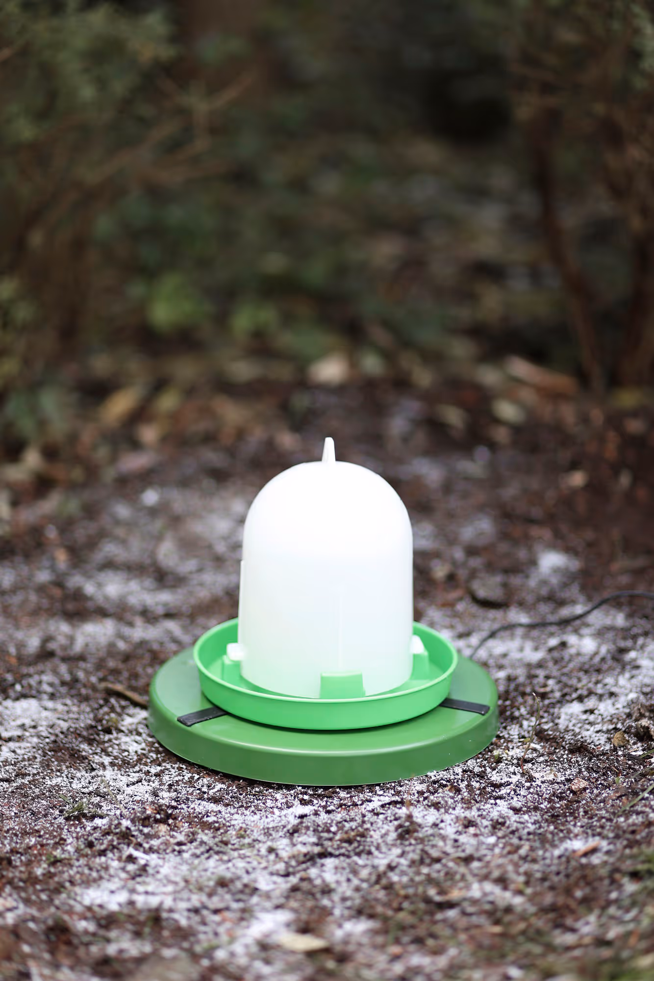 Plaque chauffante vert, 15W,Ø25cm