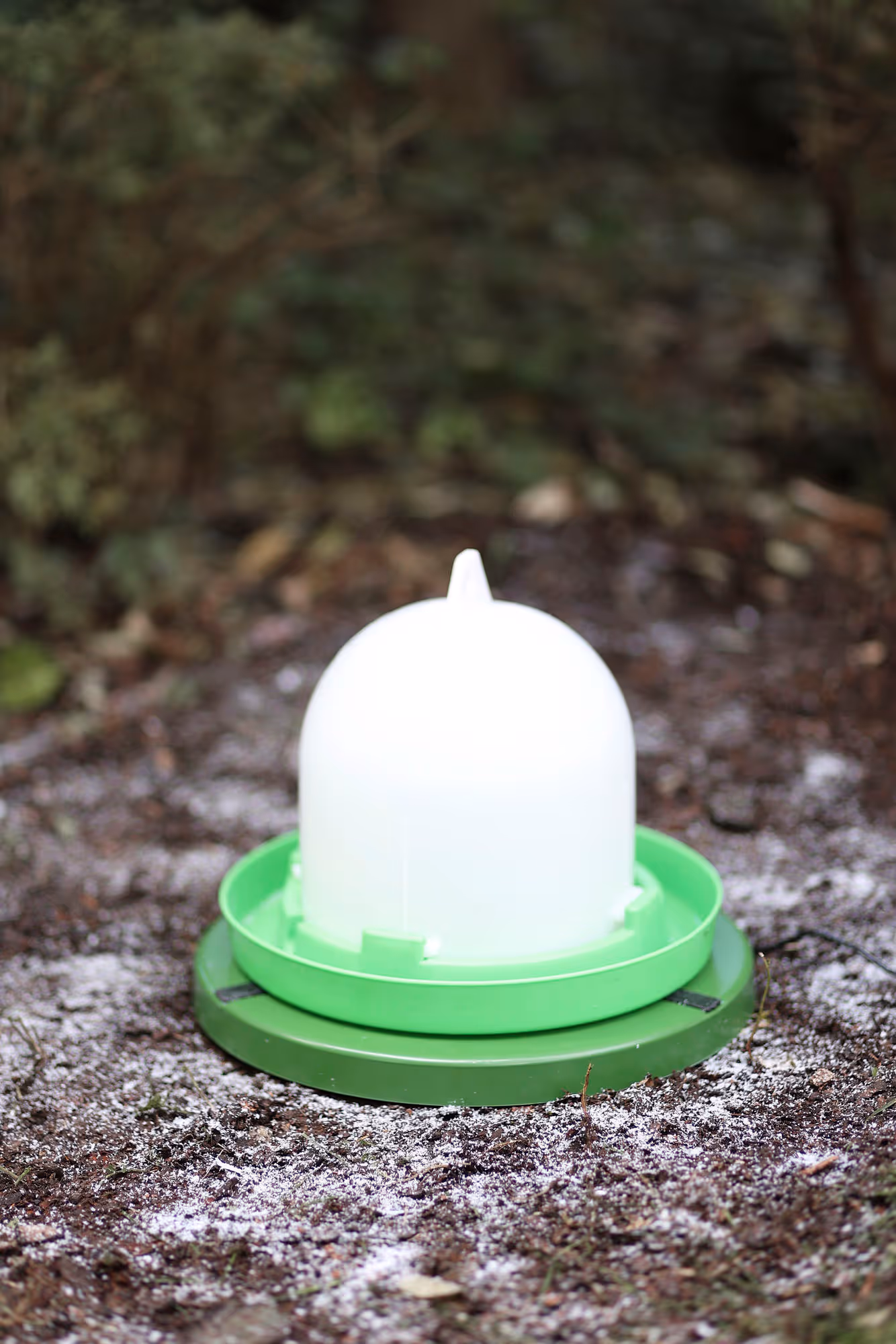 Plaque chauffante vert, 22W,Ø30cm