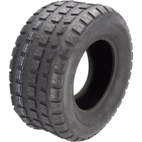 Pneu 20x10,00-10 [WANDA] 4 PLY P519B