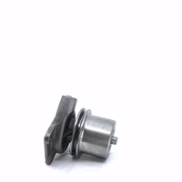 Pompe à eau 718891R97 adaptable