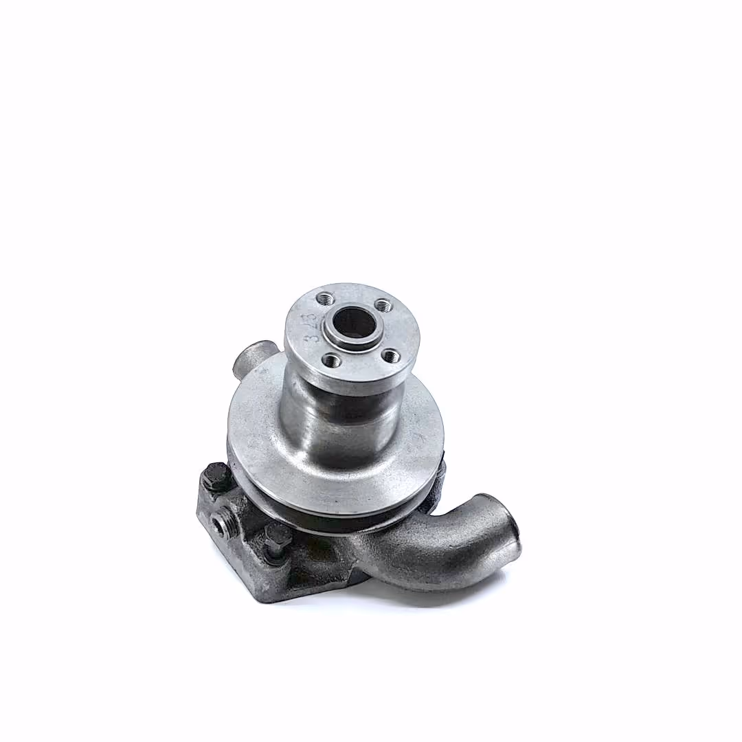Pompe à eau avec poulie Ø62.5 mm Landini 41312784 adaptable Massey Ferguson