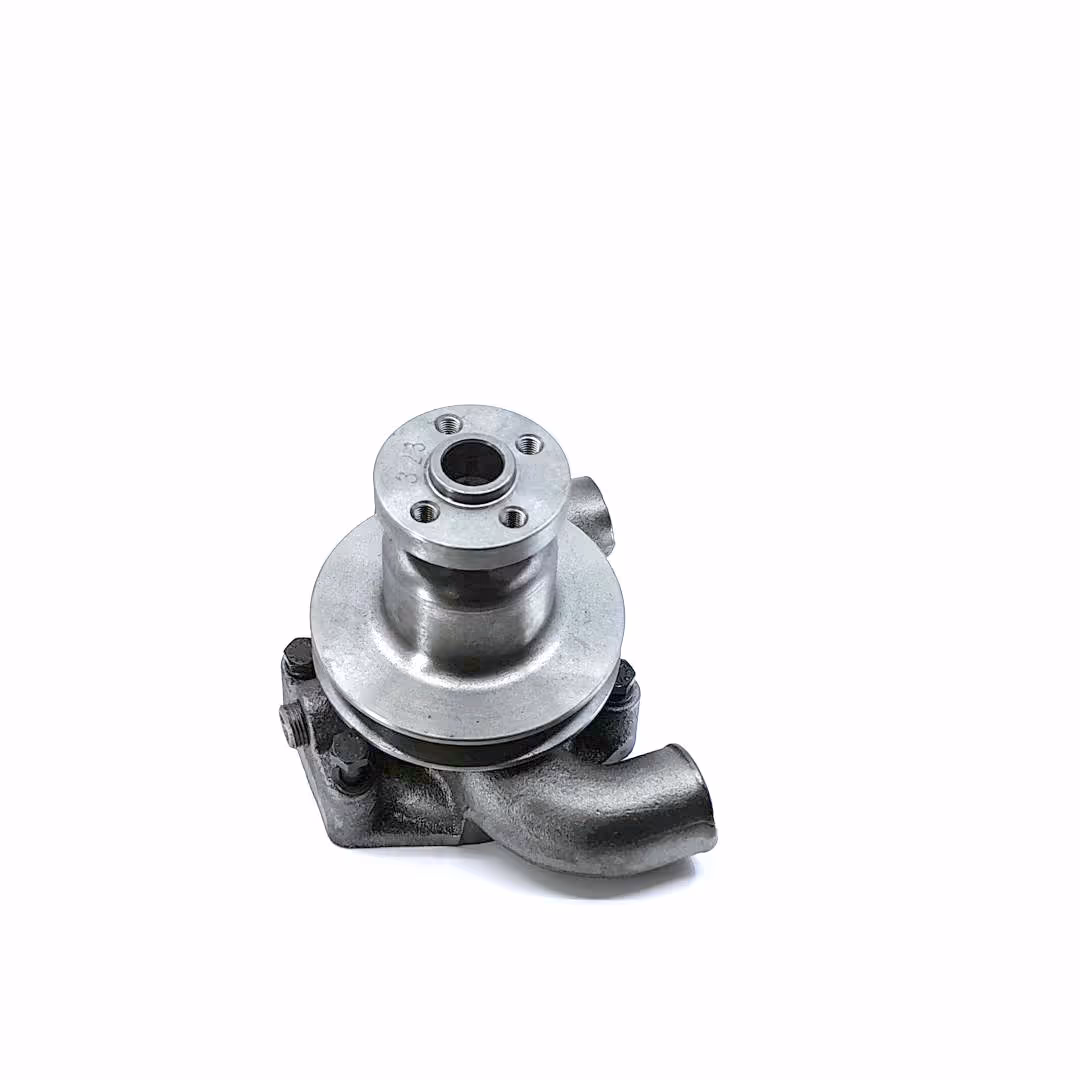 Pompe à eau avec poulie Ø62.5 mm Landini 41312784 adaptable Massey Ferguson